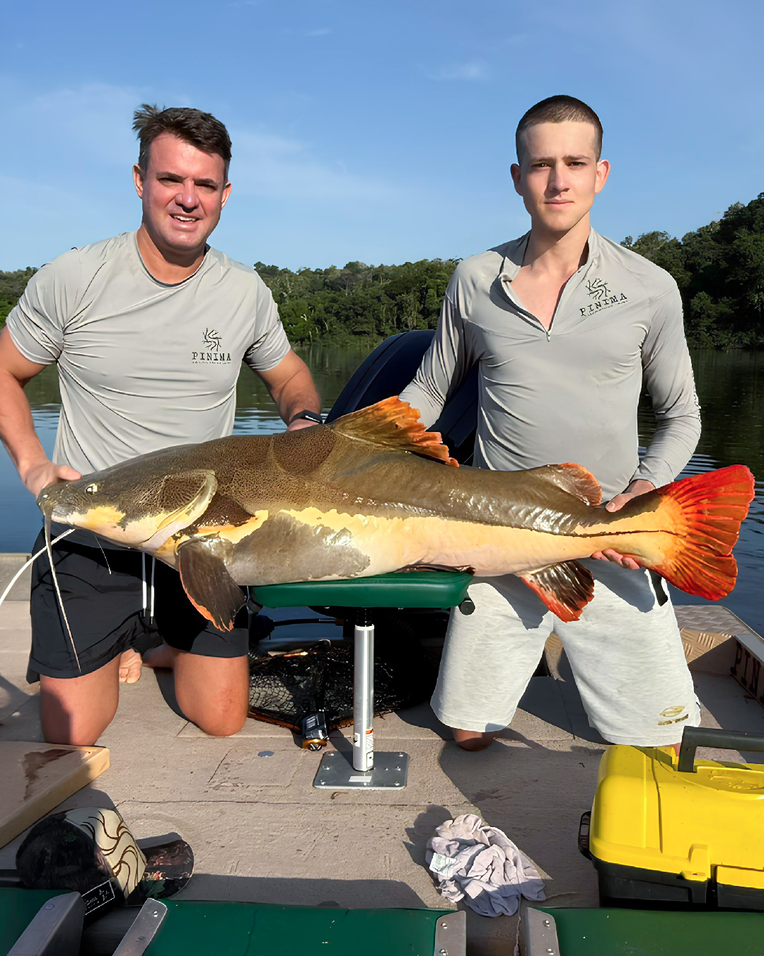 Pesca esportiva de tucunaré pinima no Rio Acari, Amazonas